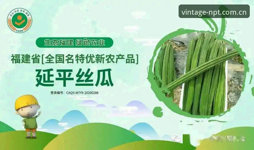 新葡萄怎么下载？官方平台安装全流程解析与安全指南