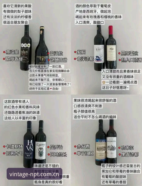掌握新葡萄经典品牌实用指南：从安装到体验的全流程解析